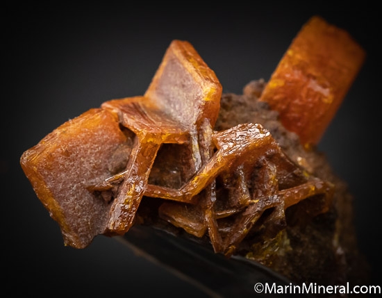 Wulfenite from Los Lamentos, Chihuahua, Mexico [db_pics/pics/SM481d.jpg]