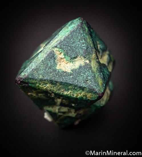 Malachite after Cuprite from Chessy, Rhone Alpes, France [db_pics/pics/SM491a.jpg]