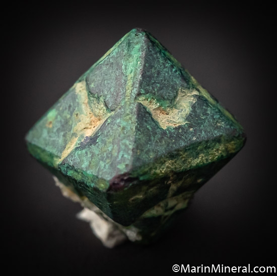 Malachite after Cuprite from Chessy, Rhone Alpes, France [db_pics/pics/SM491c.jpg]
