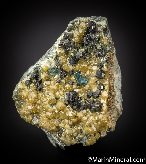 Clinochlore on Andradite var. Topazolite from San Benito Co., California, USA [db_pics/pics/SM492a.jpg]