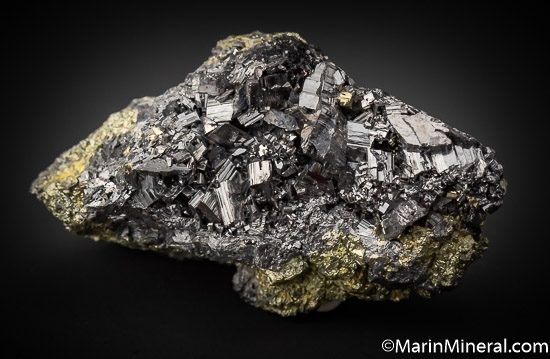 Enargite on Pyrite from Butte, Silver Bow Co., Montana, USA [db_pics/pics/SM497a.jpg]