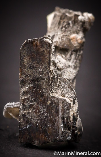 Leucophanite on Birnessite after Serandite from Mont St. Hilaire, Quebec, Canada [db_pics/pics/SM781c.jpg]