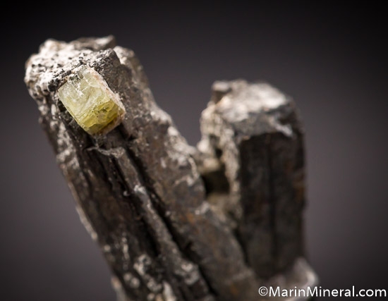 Leucophanite on Birnessite after Serandite from Mont St. Hilaire, Quebec, Canada [db_pics/pics/SM781d.jpg]