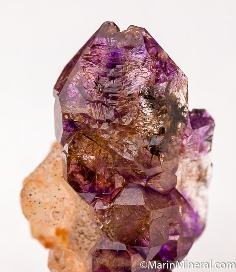 Amethyst from Gairo, Dodoma Prov., Tanzania [db_pics/pics/SM884c.jpg]