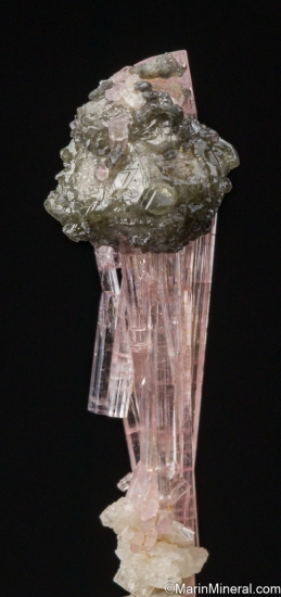Microlite on Tourmaline from Shengus, Skardu, Pakistan [db_pics/pics/ST125a.jpg]