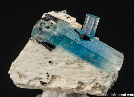 Aquamarine on Orthoclase from Erongo Mountains, Namibia [db_pics/pics/ST141a.jpg]