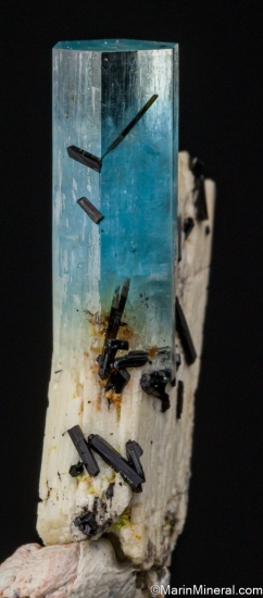 Aquamarine, Schorl on Orthoclase from Erongo Mountains, Namibia [db_pics/pics/ST142b.jpg]