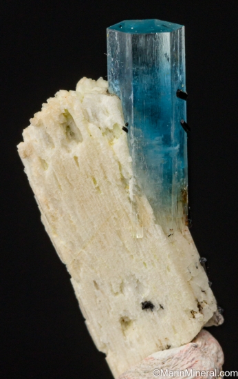 Aquamarine, Schorl on Orthoclase from Erongo Mountains, Namibia [db_pics/pics/ST142c.jpg]