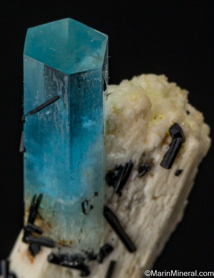 Aquamarine, Schorl on Orthoclase from Erongo Mountains, Namibia [db_pics/pics/ST142d.jpg]