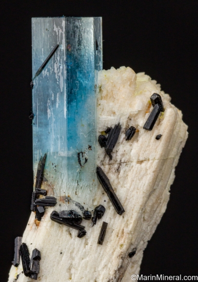 Aquamarine, Schorl on Orthoclase from Erongo Mountains, Namibia [db_pics/pics/ST142e.jpg]
