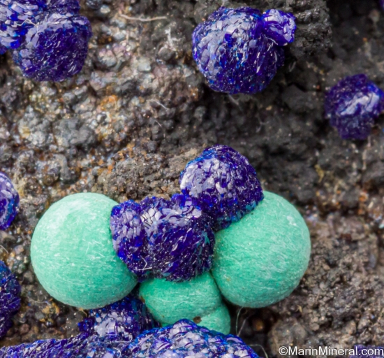 Azurite with Malachite from Bisbee, Cochise Co., Arizona, USA [db_pics/pics/ST185e.jpg]
