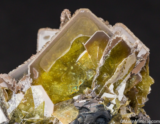 Wulfenite from Glove Mine, Amado, Santa Cruz Co., Arizona, USA [db_pics/pics/ST213f.jpg]