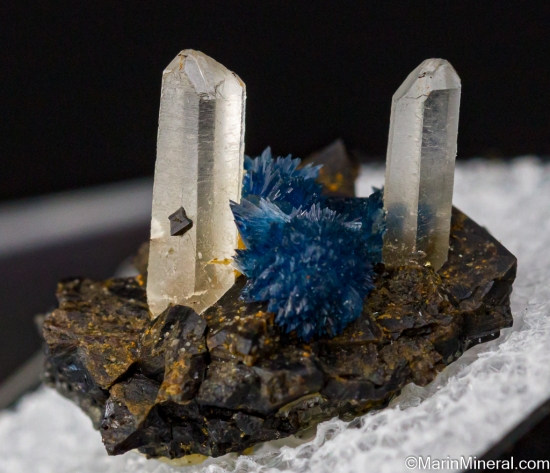 Vauxite with Quartz from Llallagua, PotosÃ­, Bolivia [db_pics/pics/ST218a.jpg]