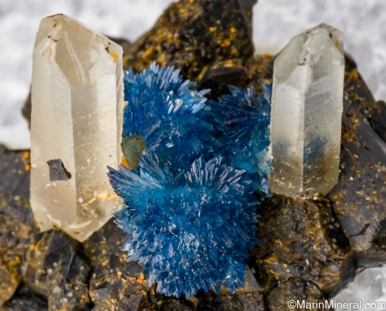 Vauxite with Quartz from Llallagua, PotosÃ­, Bolivia [db_pics/pics/ST218c.jpg]