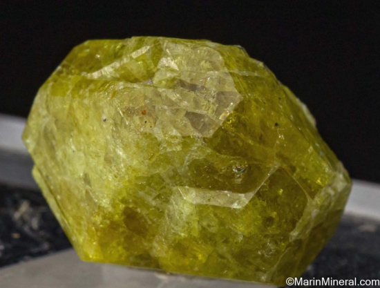Vesuvianite from Ludwig Mine, Yerrington District, Lyon Co., Nevada, USA [db_pics/pics/ST231c.jpg]