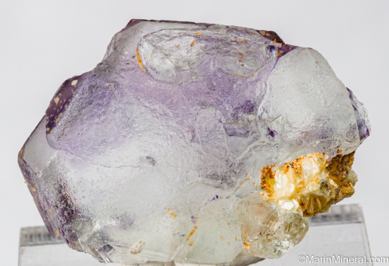 Fluorite from Erongo Mtns., Namibia [db_pics/pics/ST241a.jpg]