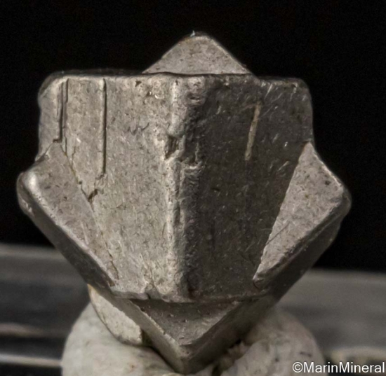 Platinum from Konder, Ayan-Maya district, Khabarovsk Region, Russia [db_pics/pics/ST247a.jpg]