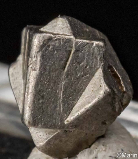 Platinum from Konder, Ayan-Maya district, Khabarovsk Region, Russia [db_pics/pics/ST247b.jpg]