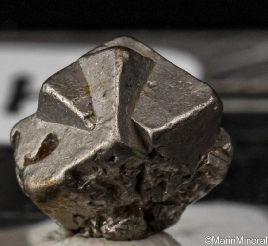 Platinum from Konder, Ayan-Maya district, Khabarovsk Region, Russia [db_pics/pics/ST247d.jpg]