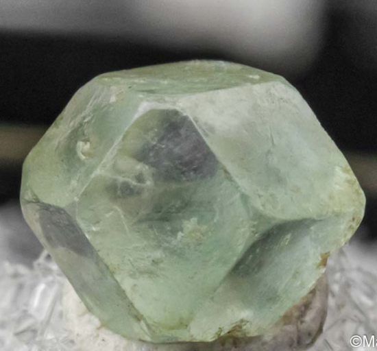 Boracite from Hohenfeld, Sehnde, near Lehrte, Saxony, Germany [db_pics/pics/ST248a.jpg]