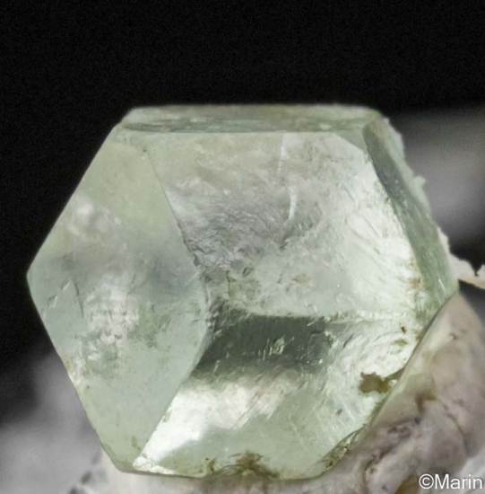 Boracite from Hohenfeld, Sehnde, near Lehrte, Saxony, Germany [db_pics/pics/ST248b.jpg]