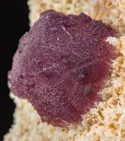 Fluorite from Mina La Lupita, near Rodeo, Durango, Mexico [db_pics/pics/ST267c.jpg]