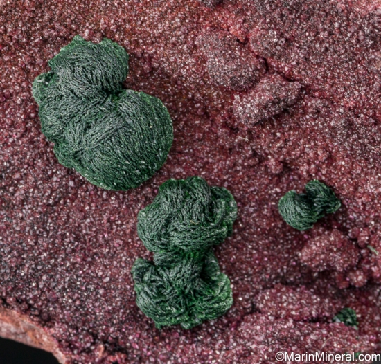 Malachite on Cobaltian Calcite from Kolwezi Mining District, Lualaba, DR Congo [db_pics/pics/ST368d.jpg]
