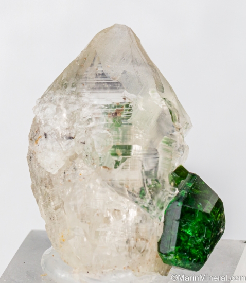 Chrome Tourmaline on Quartz from Landanai, Simanjiro District, Manyara Region, Tanzania [db_pics/pics/ST545a.jpg]