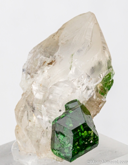 Chrome Tourmaline on Quartz from Landanai, Simanjiro District, Manyara Region, Tanzania [db_pics/pics/ST545b.jpg]