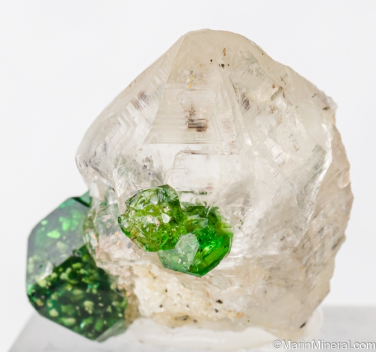 Chrome Tourmaline on Quartz from Landanai, Simanjiro District, Manyara Region, Tanzania [db_pics/pics/ST545c.jpg]