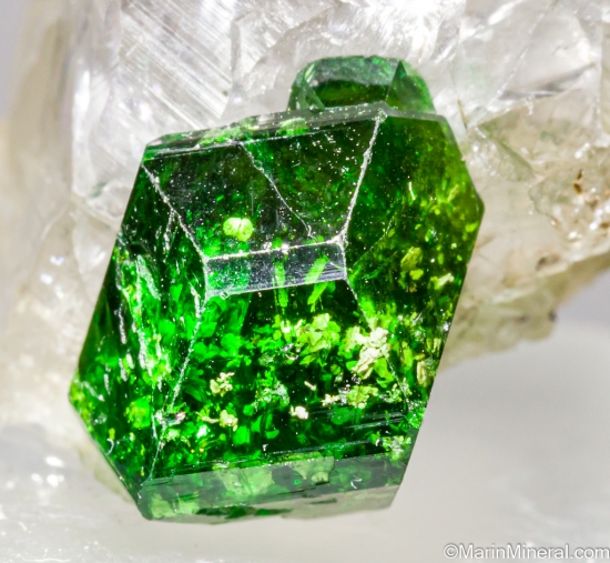 Chrome Tourmaline on Quartz from Landanai, Simanjiro District, Manyara Region, Tanzania [db_pics/pics/ST545d.jpg]