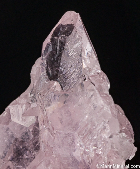 Morganite from Golconda Mine, Minas Gerais, Brazil [db_pics/pics/ST926e.jpg]