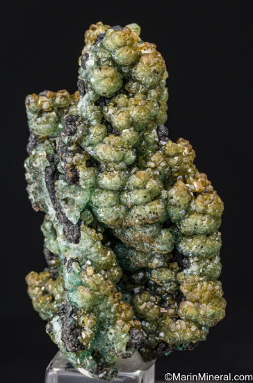 Willemite from Tsumeb, Namibia [db_pics/pics/ST933b.jpg]