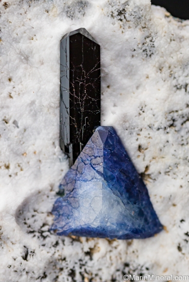 Benitoite with Neptunite from Gem Mine, San Benito Co., California, USA [db_pics/pics/ST945c.jpg]