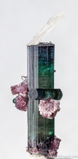 Quartz on Tourmaline with Lepidolite from Pederniera Mine, Minas Gerais, Brazil [db_pics/pics/SV132a.jpg]