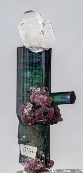 Quartz on Tourmaline with Lepidolite from Pederniera Mine, Minas Gerais, Brazil [db_pics/pics/SV132c.jpg]