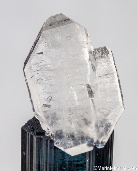 Quartz on Tourmaline with Lepidolite from Pederniera Mine, Minas Gerais, Brazil [db_pics/pics/SV132d.jpg]