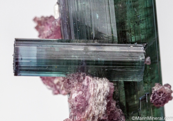Quartz on Tourmaline with Lepidolite from Pederniera Mine, Minas Gerais, Brazil [db_pics/pics/SV132f.jpg]