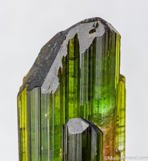 Tourmaline from Veadinho Claims, Marilac, Minas Gerais, Brazil [db_pics/pics/SV137d.jpg]