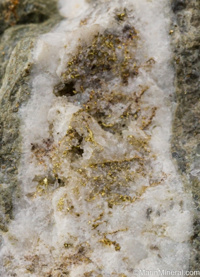 Gold in Quartz from Manhattan Mine, Nye Co., Nevada, USA [db_pics/pics/SV149e.jpg]