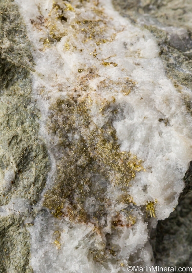 Gold in Quartz from Manhattan Mine, Nye Co., Nevada, USA [db_pics/pics/SV149g.jpg]