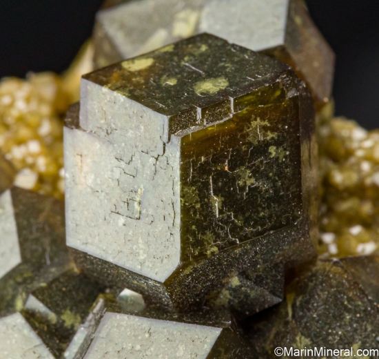 Andradite from Rongguan Mine, East Ujimqin Banner, Inner Mongolia, China [db_pics/pics/SV264d.jpg]