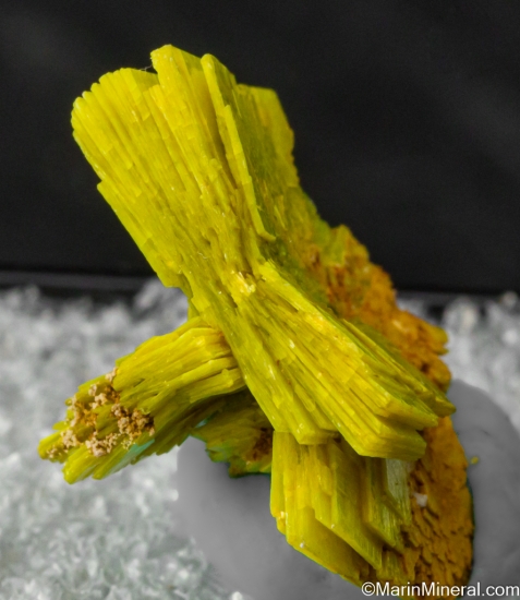 Uranocircite from Sao Pedro claim, Malacacheta, Minas Gerais, Brazil [db_pics/pics/SV378c.jpg]