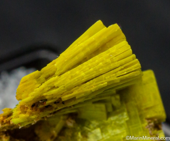 Uranocircite from Sao Pedro claim, Malacacheta, Minas Gerais, Brazil [db_pics/pics/SV378d.jpg]