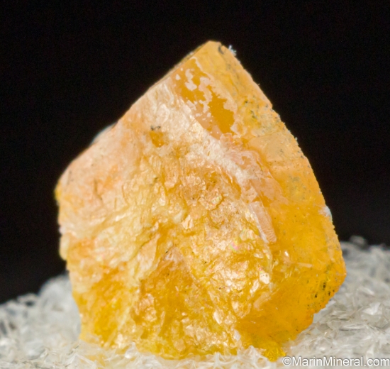 Fresnoite from Junnila Mine, San Benito Co., California, USA [db_pics/pics/SV379b.jpg]