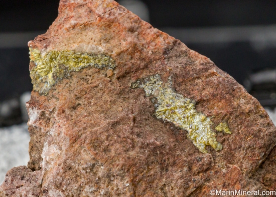 Terlinguaite from Mariposa Mine, Brewster Co., Texas, USA [db_pics/pics/SV380b.jpg]