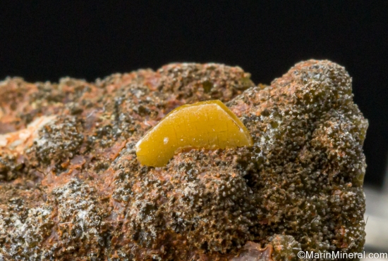 Stolzite from Fat Jack Mine, Yavapai Co., Arizona, USA [db_pics/pics/SV381c.jpg]