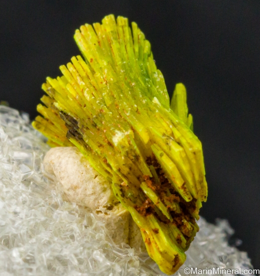 Uranocircite from Sao Pedro claim, Malacacheta, Minas Gerais, Brazil [db_pics/pics/SV385c.jpg]