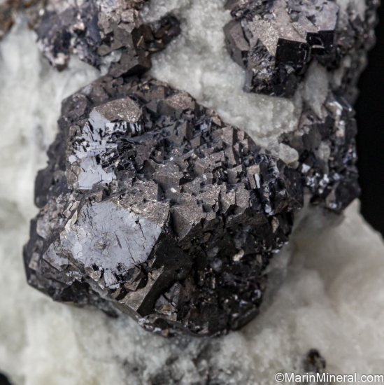 Galena from Abbeytown Quarry, Ballysadare, Co. Sligo, Ireland [db_pics/pics/SV462d.jpg]
