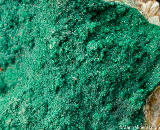 Botallackite from Dooneen Mine, Allihies, Beara Peninsula, Co. Cork, Ireland [db_pics/pics/SV502d.jpg]